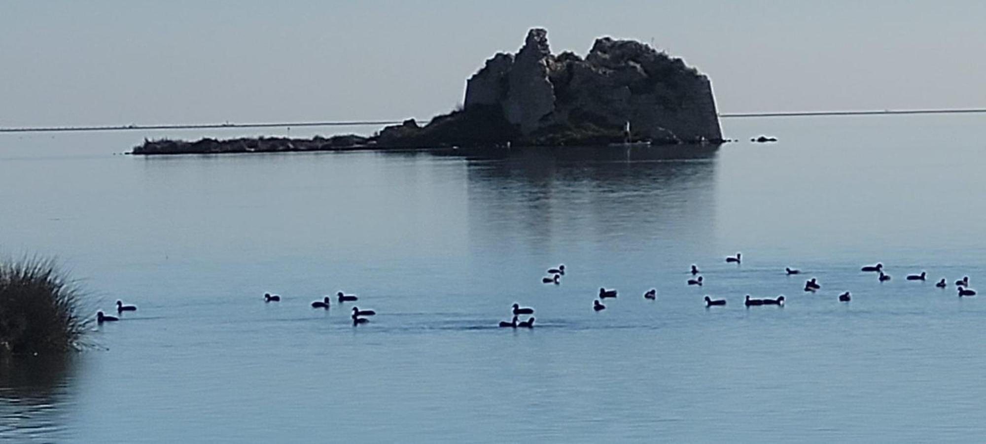 La Llar De Laura 2 Villa Amposta Bagian luar foto