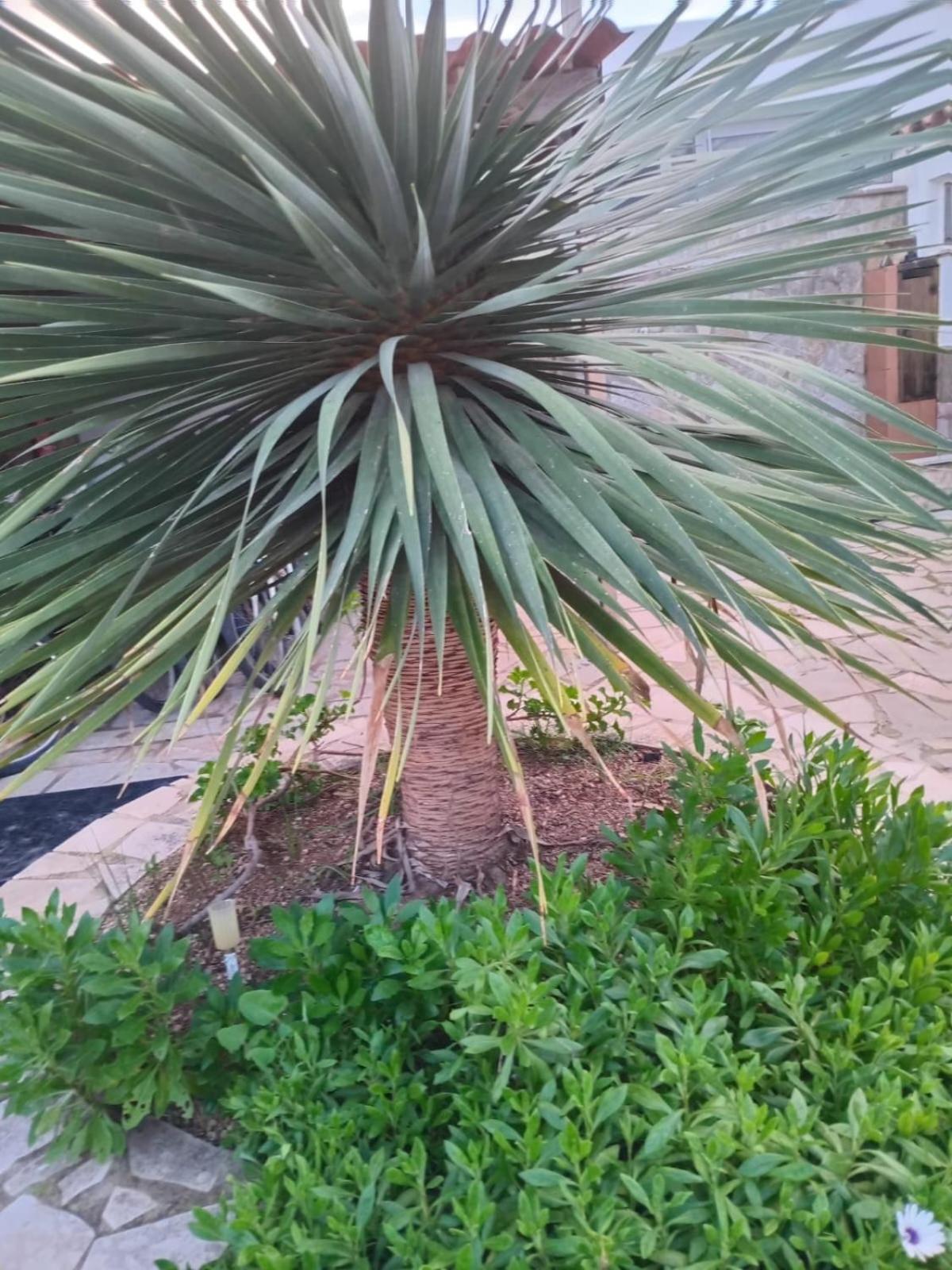 La Llar De Laura 2 Villa Amposta Bagian luar foto